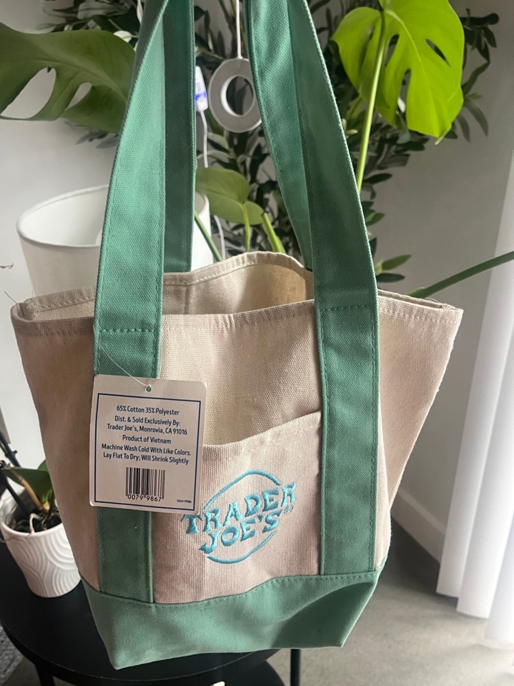 Trader Joe's Mint Green and Cream Canvas Tote Bag